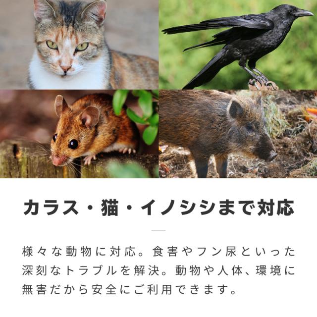 年間ランキング6年連続受賞 猫よけ 超音波動物撃退器 猫よけ対策 超音波 スズメ撃退 ネズミ コウモリよけ対策 鳩よけ対策 糞被害対策 ソーラー Usb充電 4500mah電池 Www Tgnewstv It 年間ランキング6年連続受賞 猫よけ 超音波動物撃退器 猫よけ対策 超音波 スズメ撃退 ネズミ コウモリよけ対策 鳩よけ対策 糞被害対策 ソーラー Usb充電 4500mah電池 Www Tgnewstv It