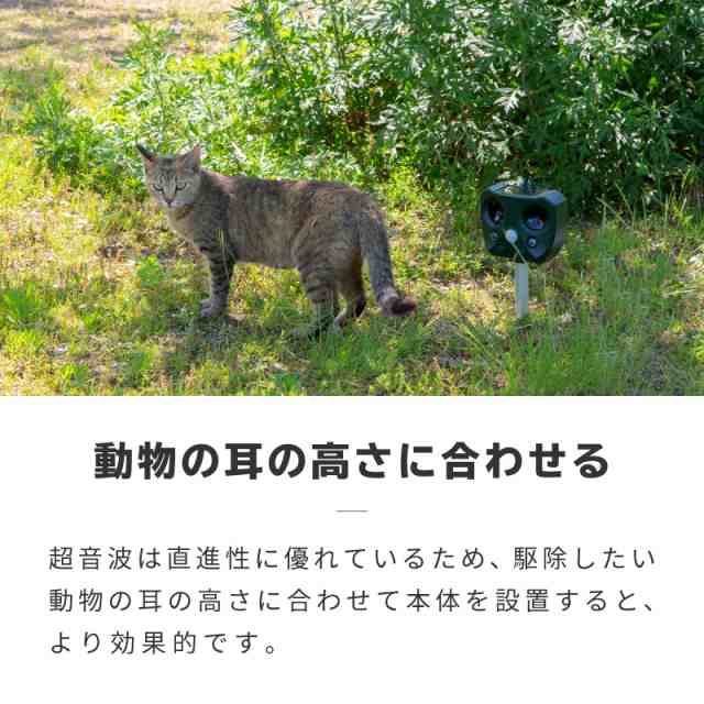 動物撃退器 超音波 ソーラー式 USB充電式 害獣撃退器 防水 屋外 猫よけ 鳩 カラス ネズミ イノシシ 犬 鳥 コウモリ 1個の通販はau PAY  マーケット - 【レビューを書いてP5%】 GGBANK ジージーバンク