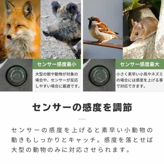 動物撃退器 超音波 ソーラー式 USB充電式 害獣撃退器 防水 屋外 猫よけ 鳩 カラス ネズミ イノシシ 犬 鳥 コウモリ 1個の通販はau PAY  マーケット - 【レビューを書いてP5%】 GGBANK ジージーバンク