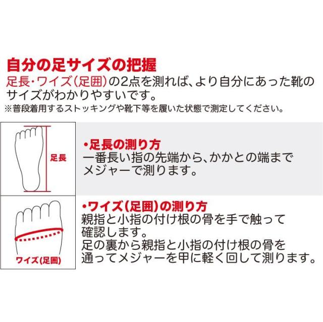 アシックス 安全靴 ローカット cp209 CP209 FCP209 Boa boa ウィン