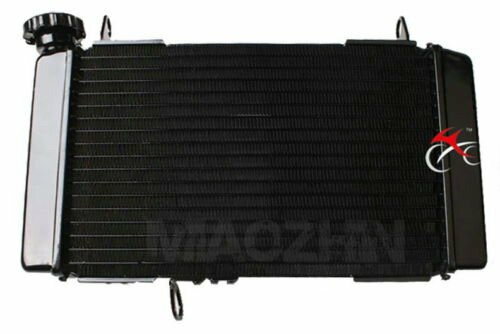 SUZUKI SV650 1999-2002年 ラジエーター ※受注発注品※の通販は