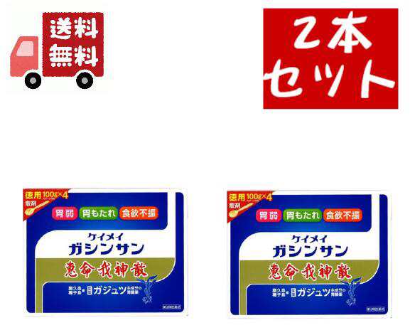 2個セット【第2類医薬品】恵命我神散 けいめいがしんさん 散剤 徳用 100g×4 スプーン付き