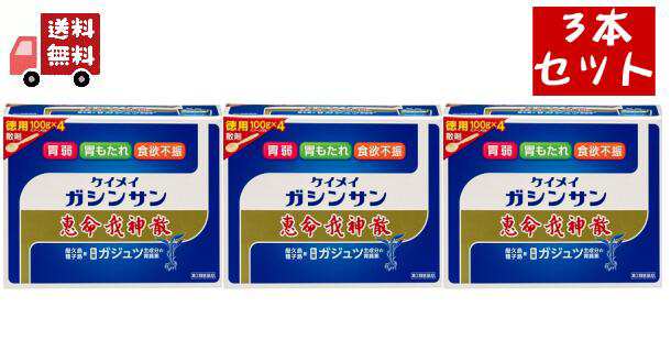 即発送 恵命我神散 400ｇ けいめいがしんさん