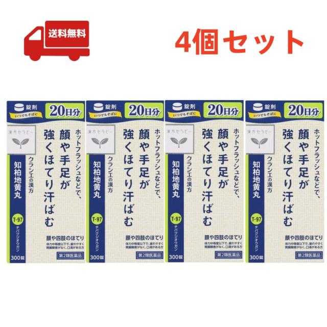 送料無料 4個セット 【第2類医薬品】 JPS知柏地黄丸料エキス錠N 300錠の通販は