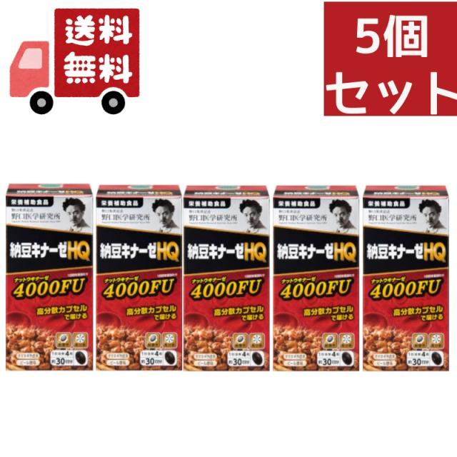 野口医学研究所 納豆キナーゼHQ 約30日分 (120粒) 栄養補助食品