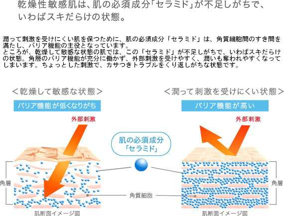 送料無料 10個セット 【医薬部外品】 花王 キュレル 潤浸保湿 フェイスクリーム 40g