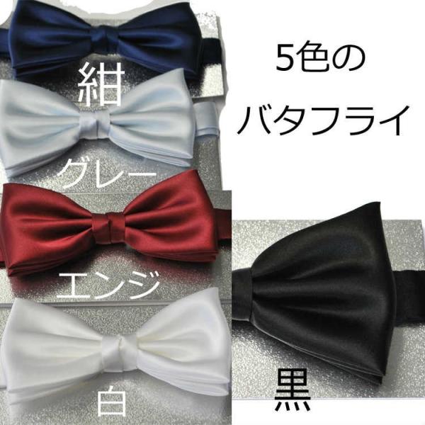 5色のバタフライの蝶タイAT9501