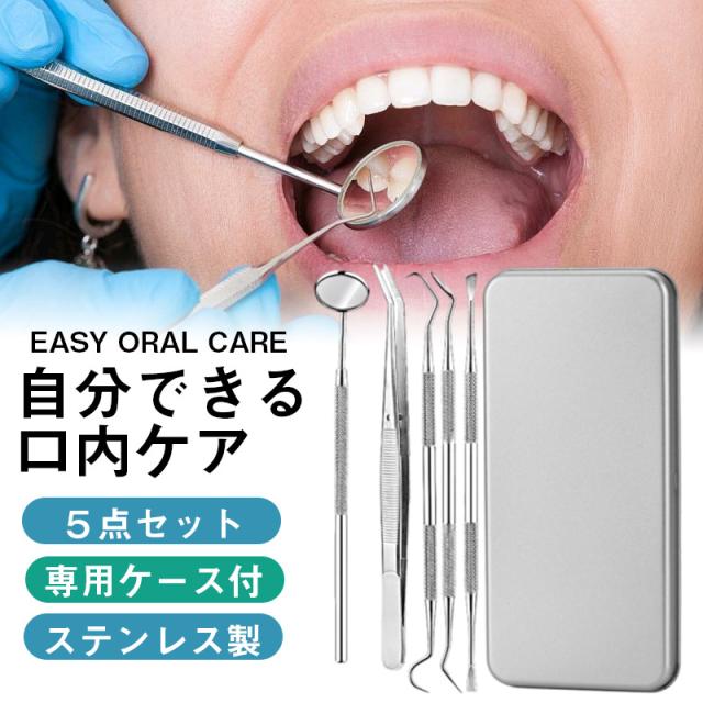 明日まで限定価格‼️保護ケース付き 歯科 スケーラー プローブ