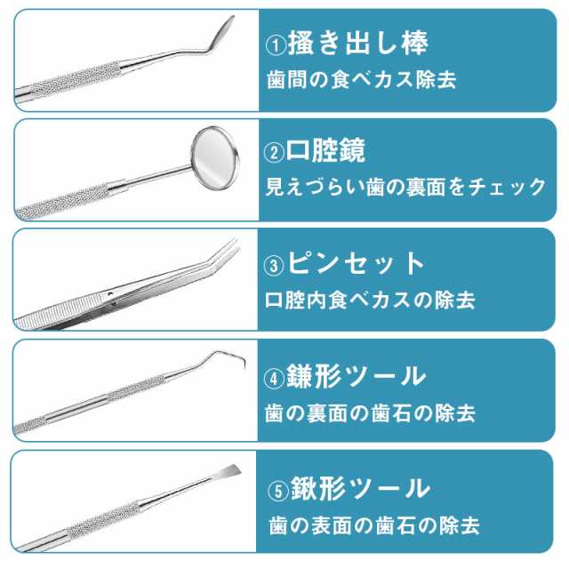 歯石取り スケーラー オーラルケア 渋 デンタルケア ヤニ取り