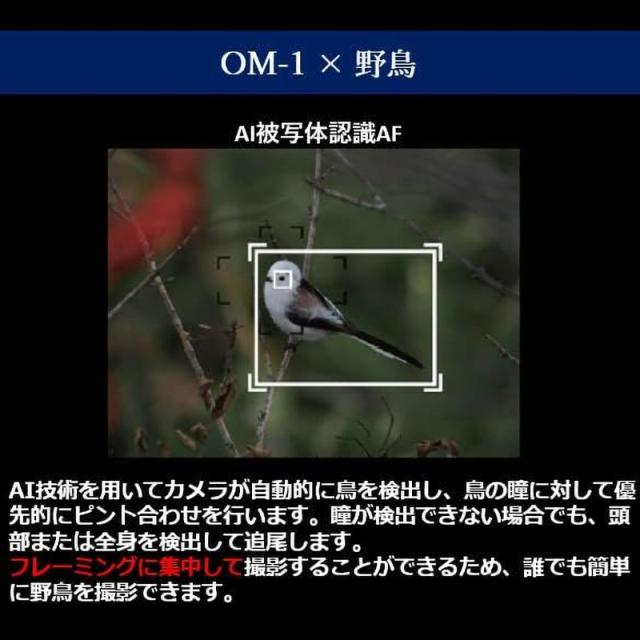 OM SYSTEM（オーエムシステム） OM-1 ボディ_7
