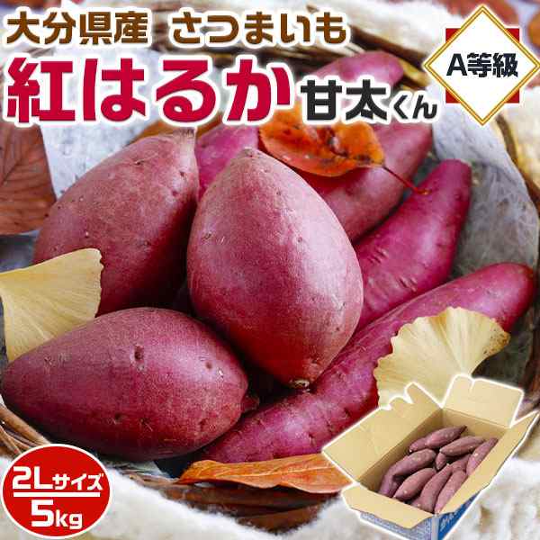 さつまいも 紅はるか 甘太くん A等級 2Lサイズ 約5kg (12〜14本前後入