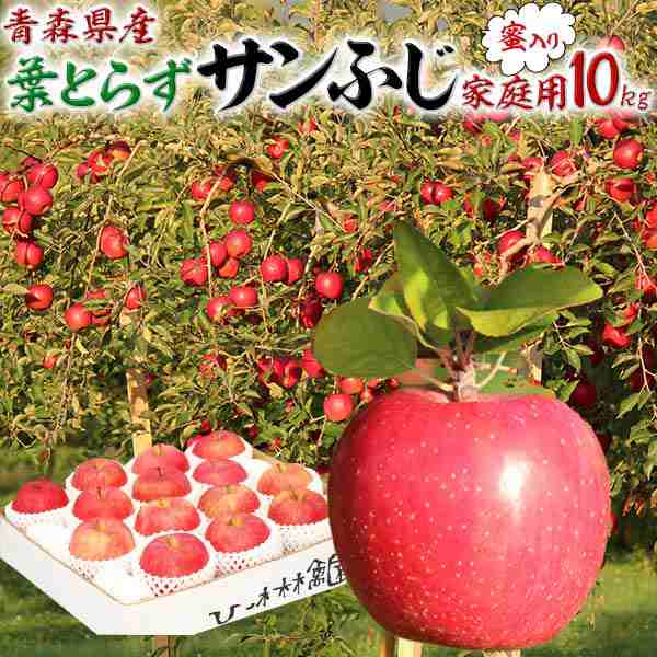 蜜入り！青森県産りんご葉とらずサンふじ家庭用10キロ