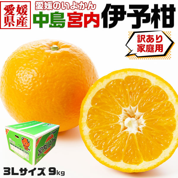 愛媛いよかん 伊予柑 訳あり 3Lサイズ 9kg｜中島 宮内伊予柑【愛媛県産・家庭用】祖父母お子様へ・手土産・お供え・バレンタインにも・ギフトの通販は 6,890円
