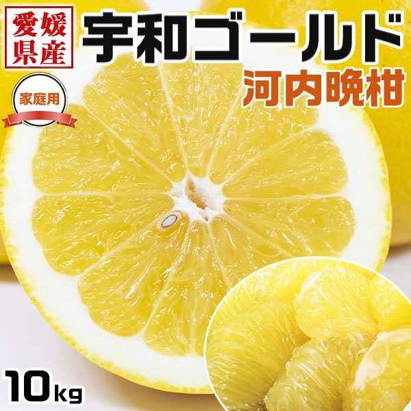 メーカー希望小売価格 宇和ゴールド みかん Mサイズ 約10kg ご家庭用 愛媛県産 河内晩柑 美生柑・手土産・お供え・ご家庭へのギフト 
