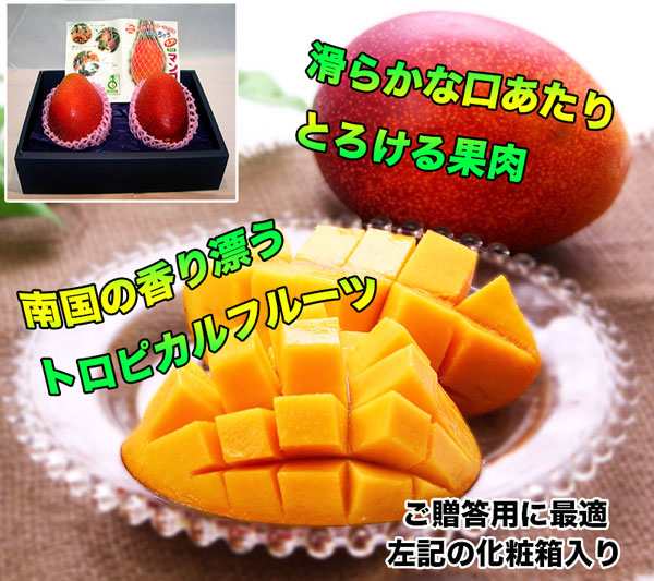 幻想的 大分県産完熟アップルマンゴー 大玉２個 - 通販 - www.lmsaude