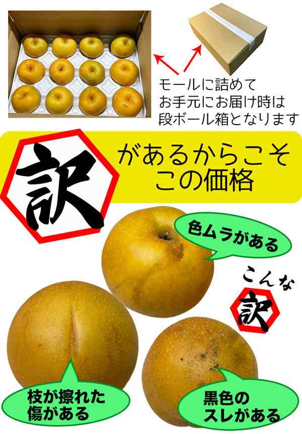 早期 予約品【クール便指定】鳥取県産 梨 訳あり 新甘泉梨 約5kg（6〜20玉）糖度14度前後 ご家庭用【しんかんせん鳥取県産ナシ】…の通販はau  PAY マーケット kamittellギフト広場 au PAY マーケット店 au PAY マーケット－通販サイト