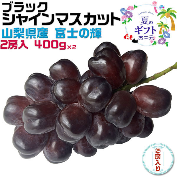 TVで紹介！富士の輝 シャインマスカット 山梨県産 ブラックシャインマスカット 富士の輝 400g×2房入り ぶどう マスカット クール便・ギフト