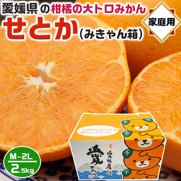 愛媛 せとか みかん 家庭用 2Lサイズ 2.5kg みきゃん箱指定 訳あり【愛媛県産】柑橘の大トロ 手土産・お供え・ご家庭・ギフトの通販は 4,963円