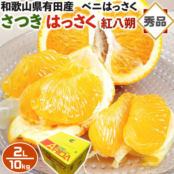 さつき はっさく 紅八朔 みかん 10kg 秀品 2Lサイズ【和歌山県有田産】べにはっさく 手土産・ホワイトデー・お供え・イベント・プレゼント・ギフト 予約【4月中旬頃】の通販は 5,881円