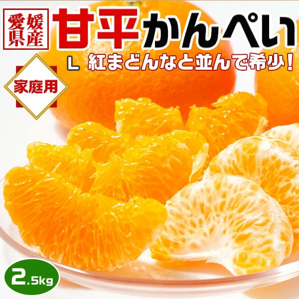 愛媛 甘平 みかん かんぺい 家庭用(傷少なめ) Lサイズ 2.5kg｜高糖度柑橘・高級みかんのお買い得品【愛媛県産】手土産・お供え・バレンタインにも・ギフト【2月上旬頃】の通販は