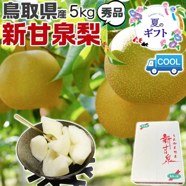 【クール便指定】鳥取 新甘泉 梨 秀品 5kg 6玉〜10玉入 糖度14度前後 贈答用【しんかんせん鳥取県産ナシ】遅めの お中元 ギフト 7,440円