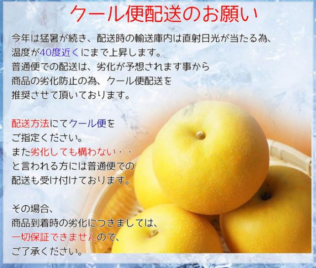 鳥取県産　新甘泉　10～18玉　約5キロ　秀品　 ※クール便発送 梨 5kg 送料無料 鳥取県産 新甘泉梨 秀品 18-22玉入 新甘泉 鳥取