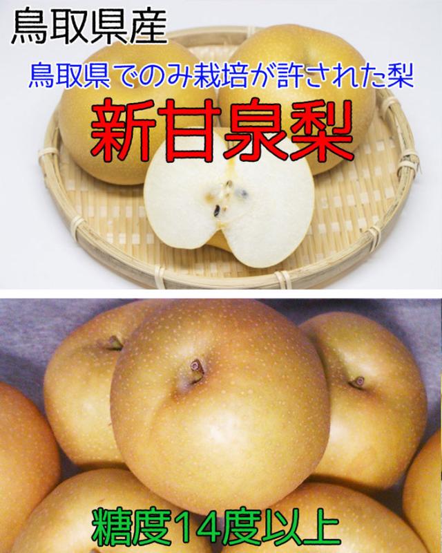 鳥取県産　新甘泉　10～18玉　約5キロ　秀品　 ※クール便発送 楽天市場】鳥取県産 梨 新甘泉 （しんかんせん） 秀品 5kg 10