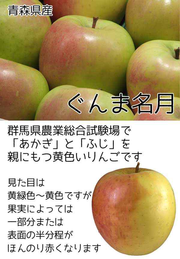 青森 りんご 10kg 秀品 ぐんま 名月 贈答用【青森県産】ぐんまめいげつ