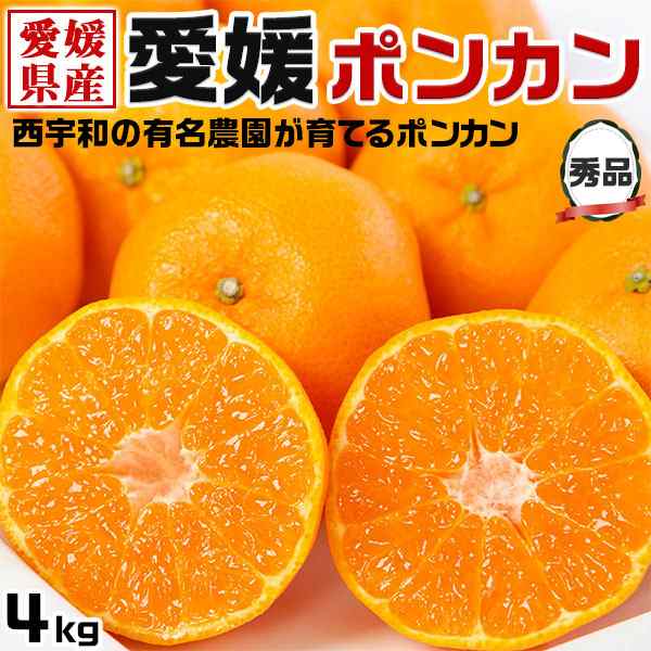 愛媛 ポンカン 秀品 4kg｜西宇和地区・八幡浜市産のポンカン・みかん 蜜柑｜愛媛県産 アウトレット品 果物 フルーツ 希少 果物 有名農園 家庭向けギフトの通販は