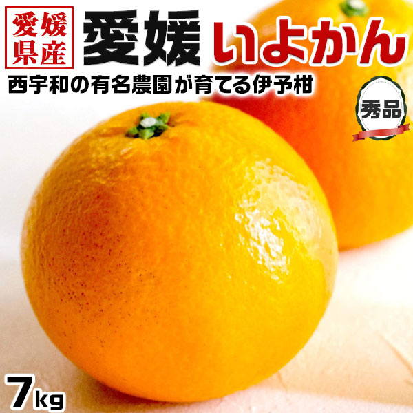 愛媛 伊予柑 秀品 7kg いよかん みかん｜愛媛県 西宇和地区・八幡浜市産の伊予柑・みかん 蜜柑｜愛媛県産 果物 フルーツ 果物 有名農園 家庭向けギフトの通販は 5,543円