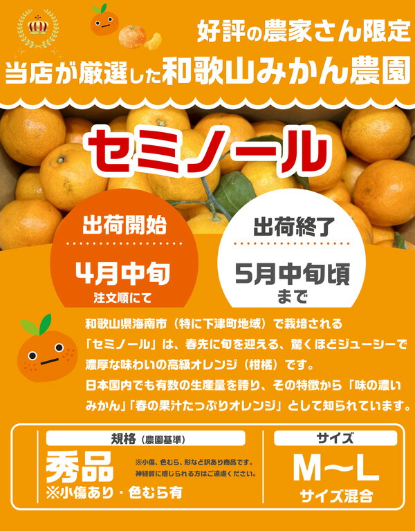和歌山 セミノール オレンジ 10kg 秀品 M〜Lサイズ限定 国産 農園・生産者から出荷 【出荷日お任せ・指定日不可】紀州 母の日 果物 柑橘 生果 フルーツ