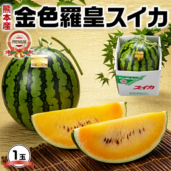 TVで紹介！ スイカ 熊本 こんじきらおう 西瓜 金色羅皇スイカ 1玉 6kg 熊本県産 希少 限定 高糖度 すいか1玉 ｜段ボール 贈答用 ギフト 高級フルーツ 果物 贈物 プレゼント