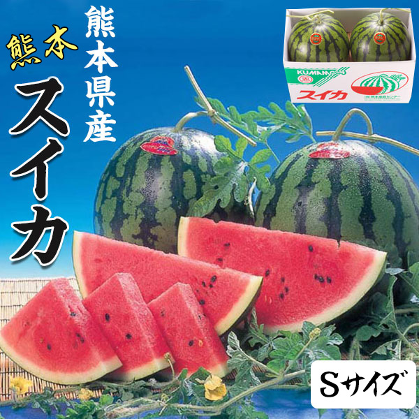 スイカ Sサイズ 熊本県産 すいか 1箱 4kg × 2玉 セット 高級すいか 等級：秀(赤) 贈答用 高級西瓜 プレゼント 果物 母の日 希少すいか フルーツ ギフト