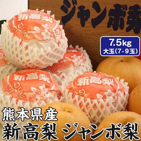 梨 新高梨・ジャンボ梨 贈答用 熊本県産 1箱 約7.5kg(大玉7-9玉入り)高級ギフトの通販はau PAY マーケット  kamittellギフト広場 au PAY マーケット店 au PAY マーケット－通販サイト