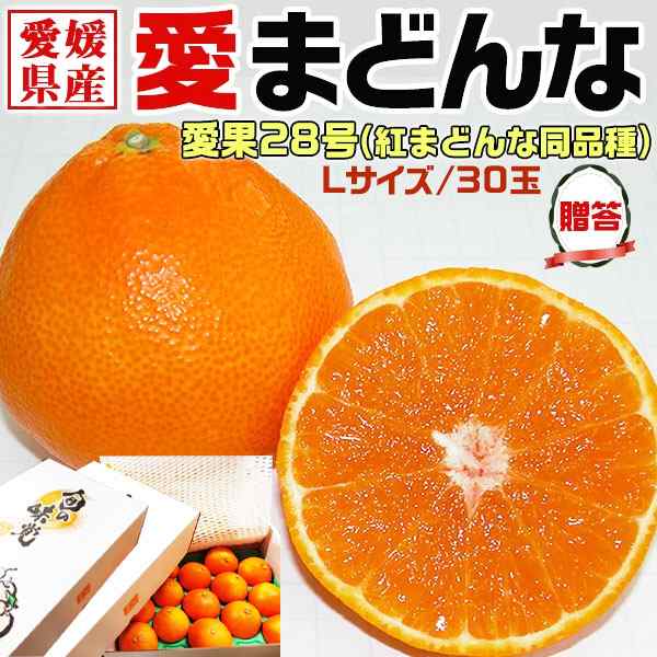 愛まどんな 約6kg 贈答用 Lサイズ30玉 (愛果28号・約3キロ箱L15玉×2箱) みかん・アイカ【紅マドンナ/愛媛まどんな同品種・S農園…