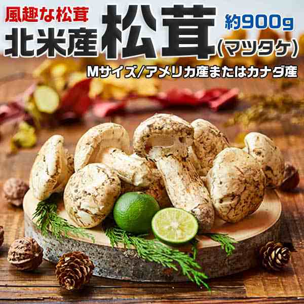 松茸 マツタケ 風趣な松茸 約900g(Mサイズ) 北米産(カナダ産・アメリカ産) 高級まつたけ 化粧箱 贈答用・クリスマスギフト・…