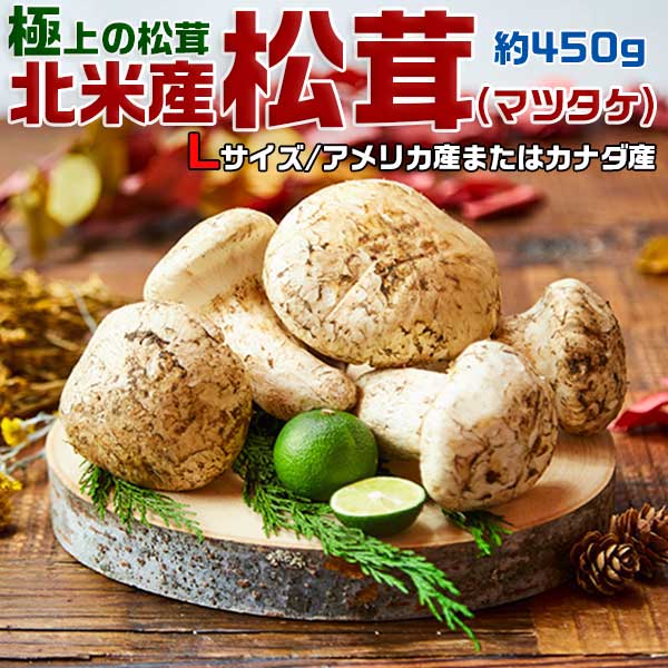 松茸　北海道　450g 松茸 北海道 450g 松茸 北海道 450g 【公式通販】