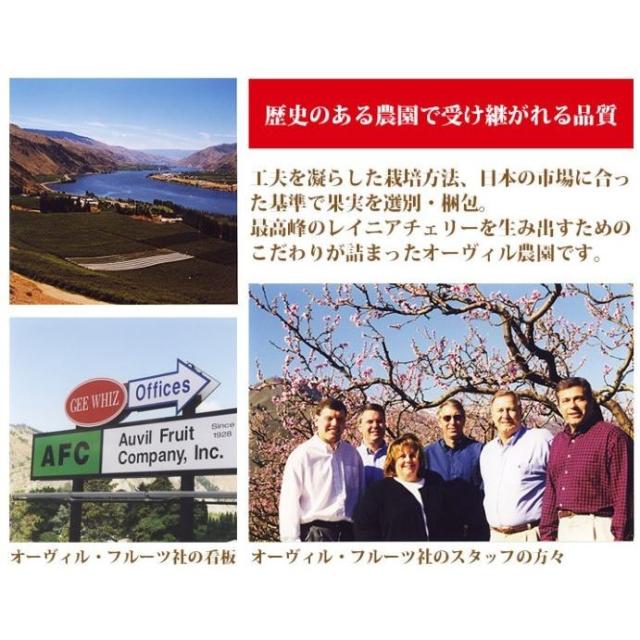 予約】オービル農園 アメリカンチェリー GEE WHIZ 大粒ダーク