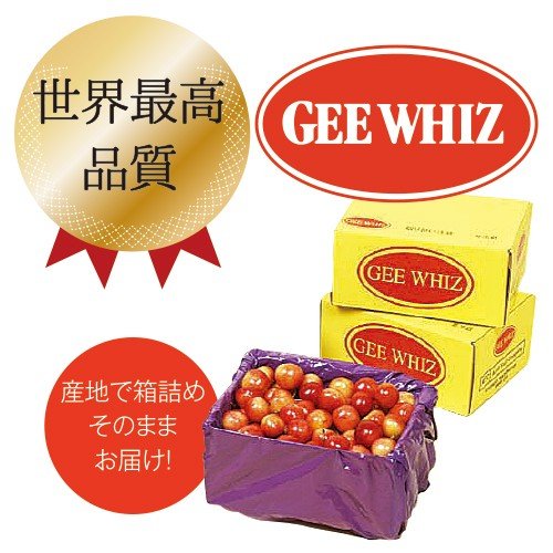 オービル農園 アメリカン チェリー 4kg ダークチェリー GEE WHIZ 超大粒 ビング 種 ワシントン州産 フルーツ 人気 大粒 果物 ギフト お中元 夏ギフト 00040K_5