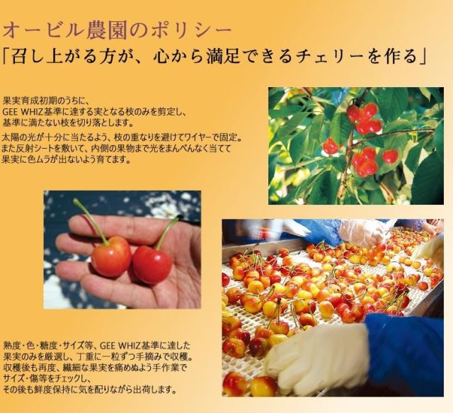 オービル農園 アメリカン チェリー 4kg ダークチェリー GEE WHIZ 超大粒 ビング 種 ワシントン州産 フルーツ 人気 大粒 果物 ギフト お中元 夏ギフト 00040K_18