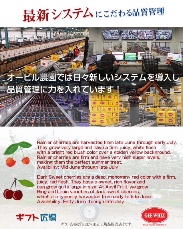 オービル農園 アメリカン チェリー 4kg ダークチェリー GEE WHIZ 超大粒 ビング 種 ワシントン州産 フルーツ 人気 大粒 果物 ギフト お中元 夏ギフト 00040K_17