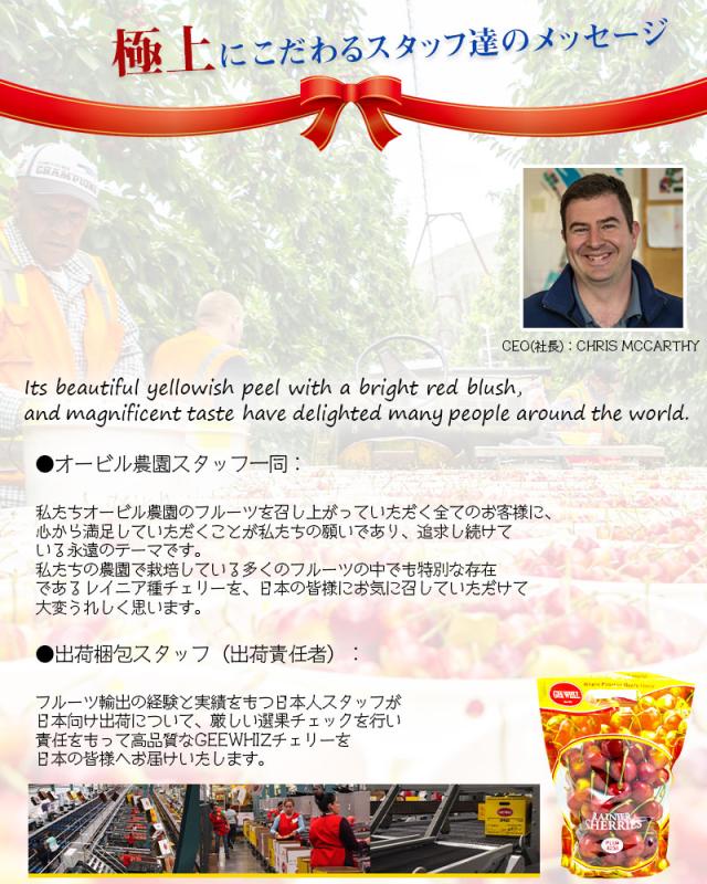 オービル農園 アメリカン チェリー 4kg ダークチェリー GEE WHIZ 超大粒 ビング 種 ワシントン州産 フルーツ 人気 大粒 果物 ギフト お中元 夏ギフト 00040K_16