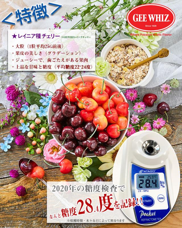 オービル農園 アメリカン チェリー 4kg ダークチェリー GEE WHIZ 超大粒 ビング 種 ワシントン州産 フルーツ 人気 大粒 果物 ギフト お中元 夏ギフト 00040K_12