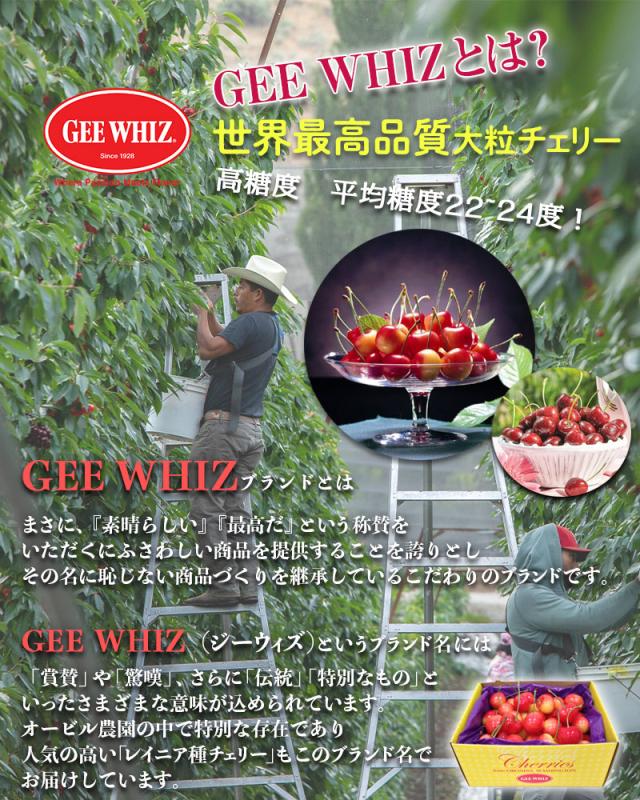 オービル農園 アメリカン チェリー 4kg ダークチェリー GEE WHIZ 超大粒 ビング 種 ワシントン州産 フルーツ 人気 大粒 果物 ギフト お中元 夏ギフト 00040K_11