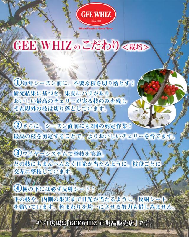 オービル農園 アメリカン チェリー 4kg ダークチェリー GEE WHIZ 超大粒 ビング 種 ワシントン州産 フルーツ 人気 大粒 果物 ギフト お中元 夏ギフト 00040K_10