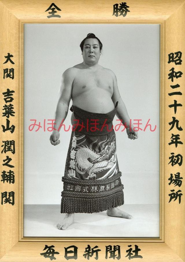 吉葉山潤之輔関　優勝ミニ額 大相撲ミニ額 大相撲優勝額　昭和２９年初場所 全勝 大関 吉葉山潤之輔関