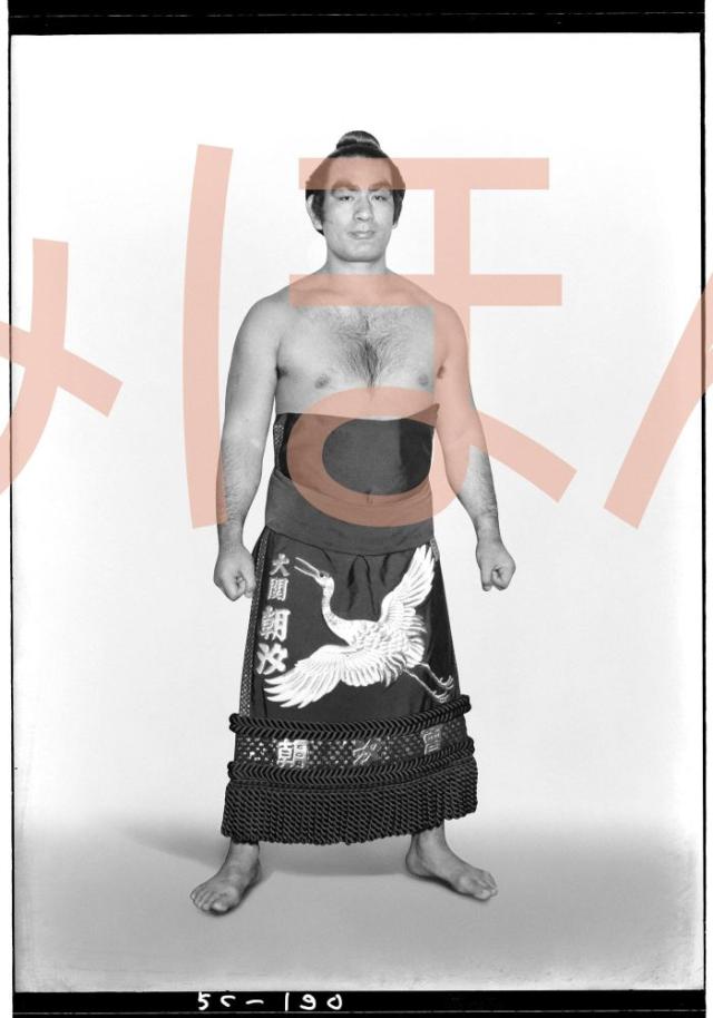 朝汐太郎関　優勝ミニ額 大相撲ミニ額 大相撲優勝額　昭和３３年３月場所 優勝 大関 朝汐太郎関（３回目の優勝）