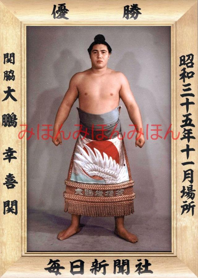大相撲 優勝額 大関 曙 レア