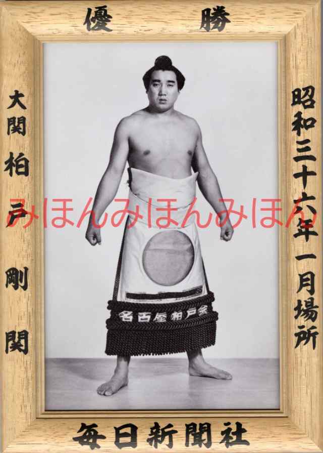 千代の富士関 大相撲優勝ミニ額 昭和56年1月場所 優勝 見入る 千代の