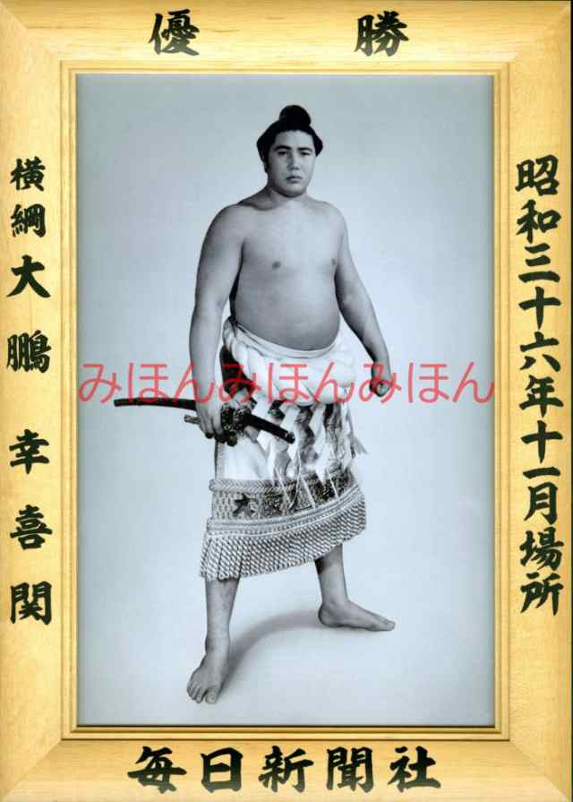 大相撲優勝額 ミニチュア版 平成7年3月場所 横綱 曙 太郎関 毎日